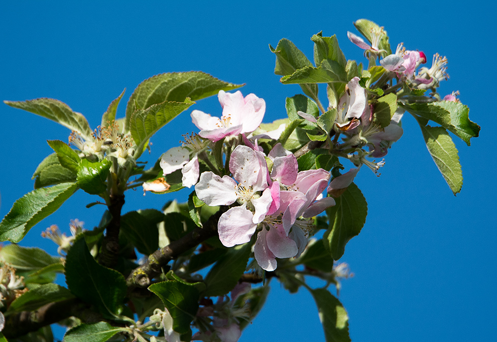 DSC_1399.jpg