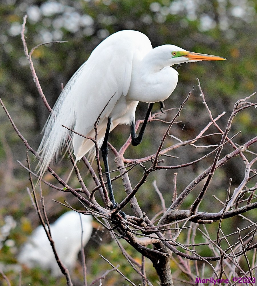 DSC_1400_001.JPG