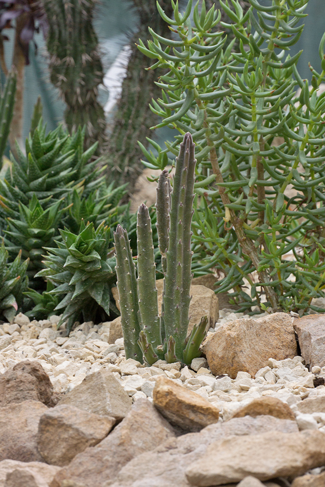 DSC_1404.jpg