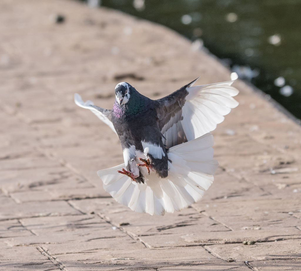 DSC_1404.jpg