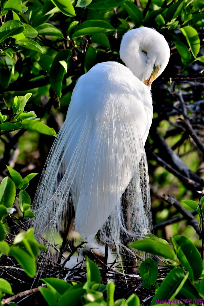 DSC_1404_001.JPG