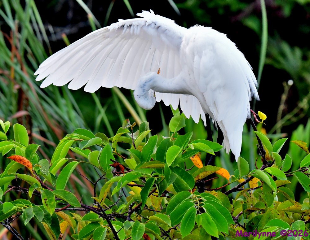 DSC_1404_001.JPG