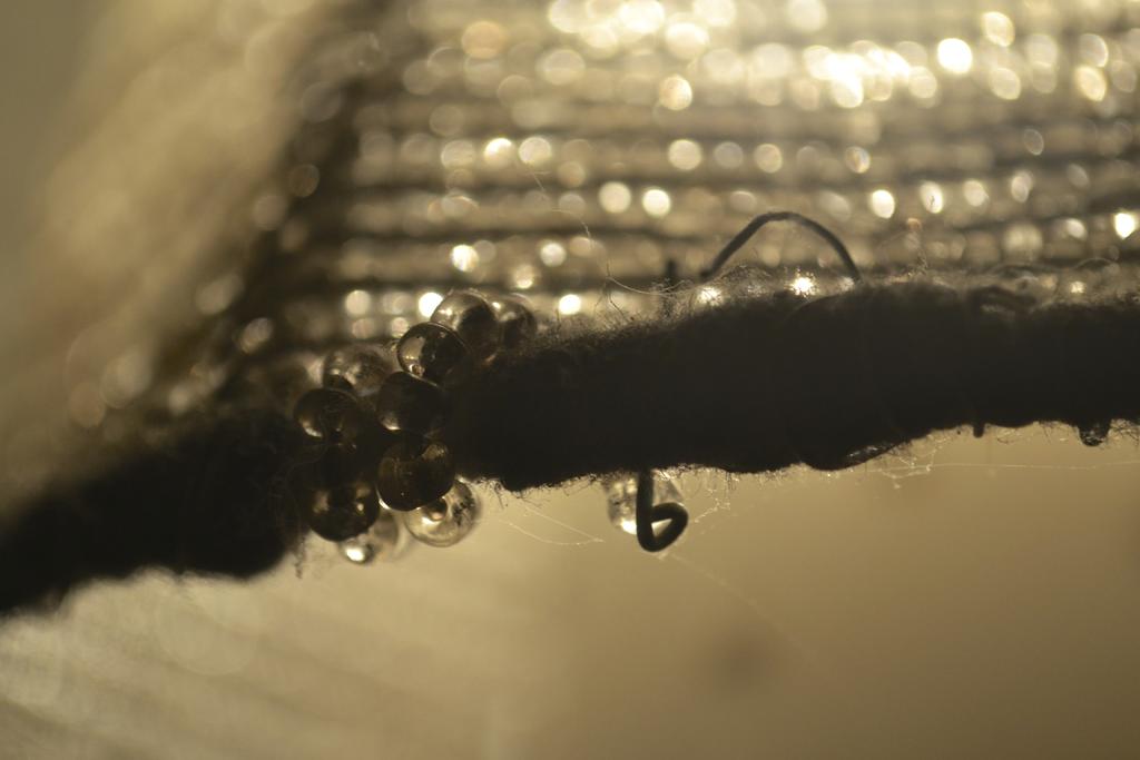 DSC_1404_574.jpg