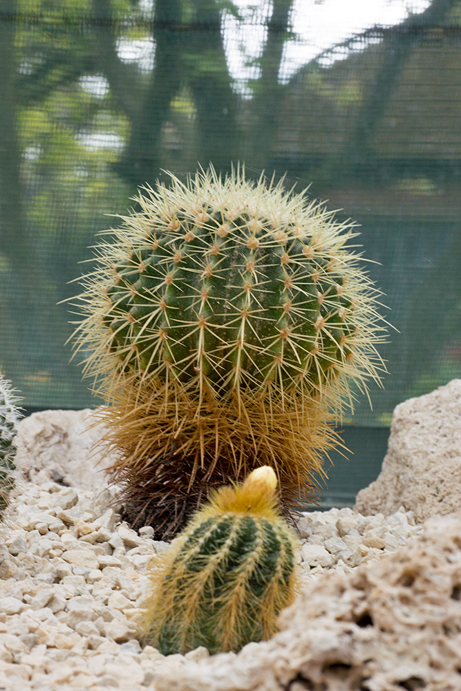 DSC_1407.jpg