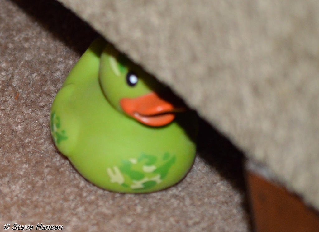 DSC_1408-1.jpg