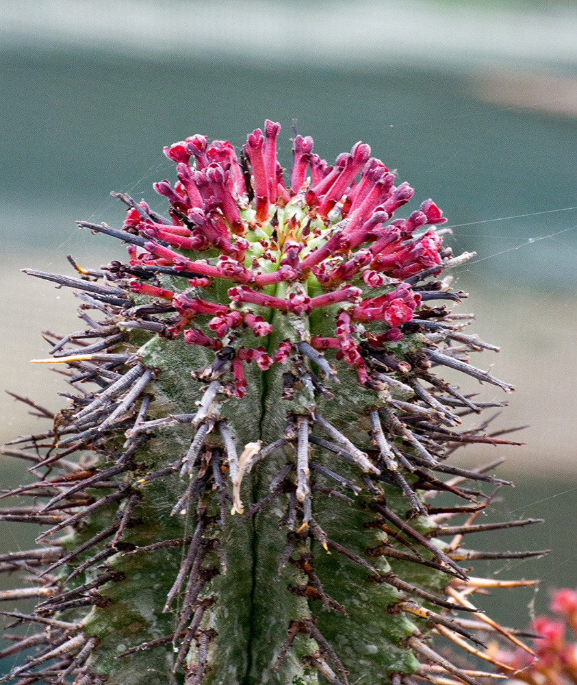 DSC_1408.jpg
