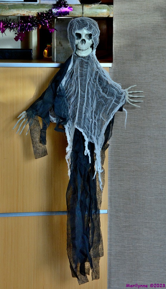 DSC_1408_001.JPG
