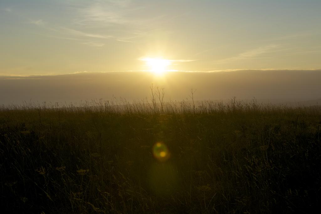 DSC_1412.jpg