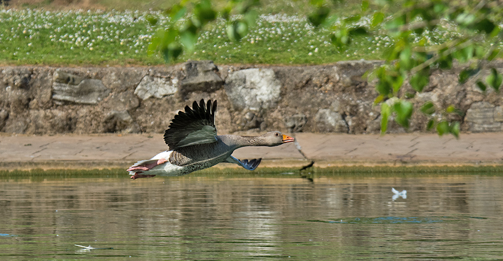 DSC_1413.jpg