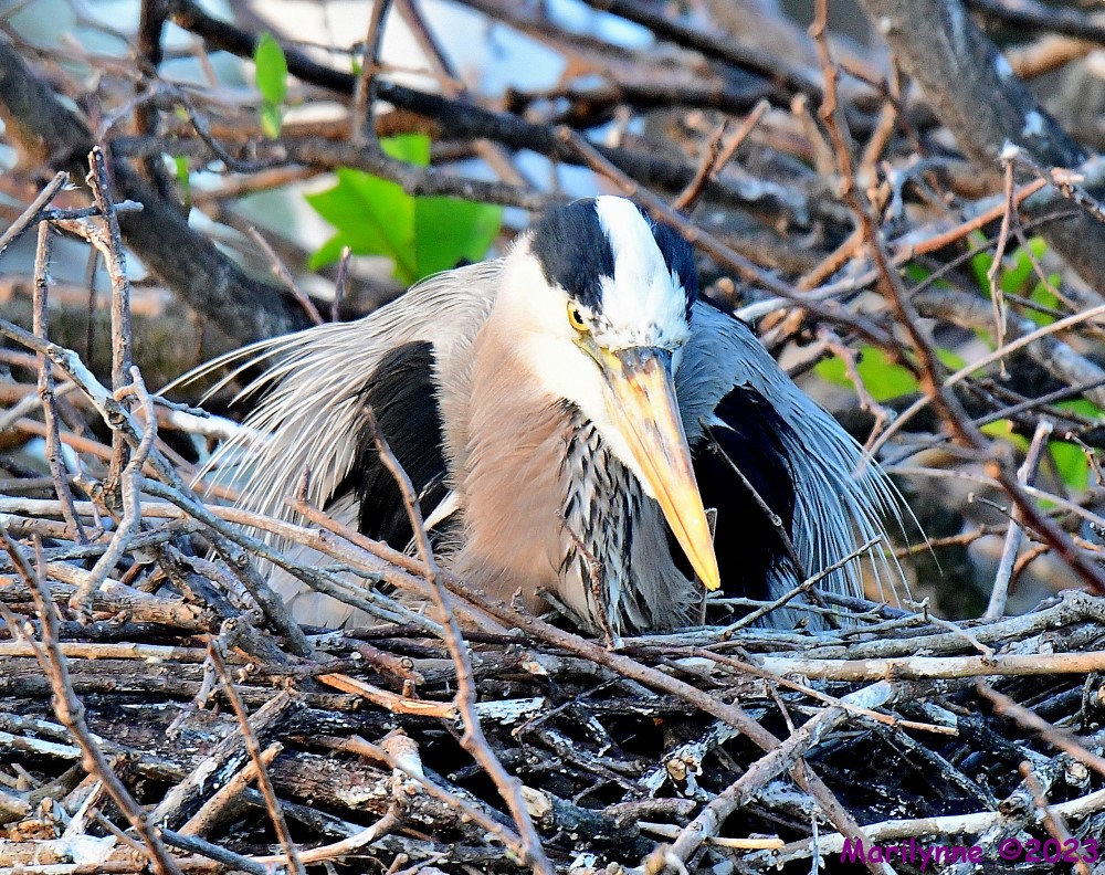 DSC_1413_001.JPG