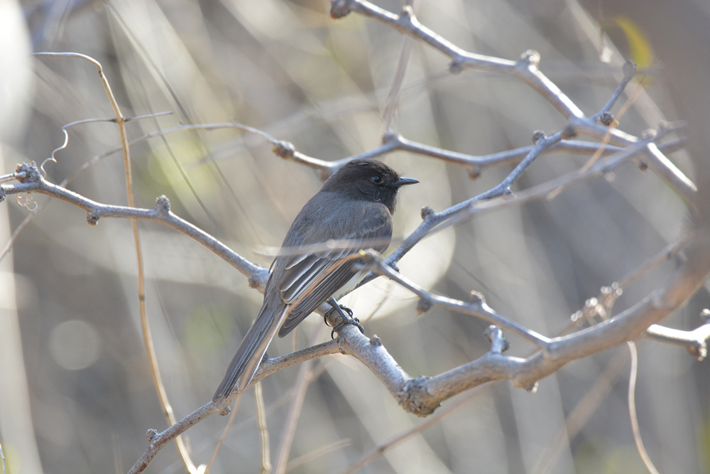 DSC_1414.JPG