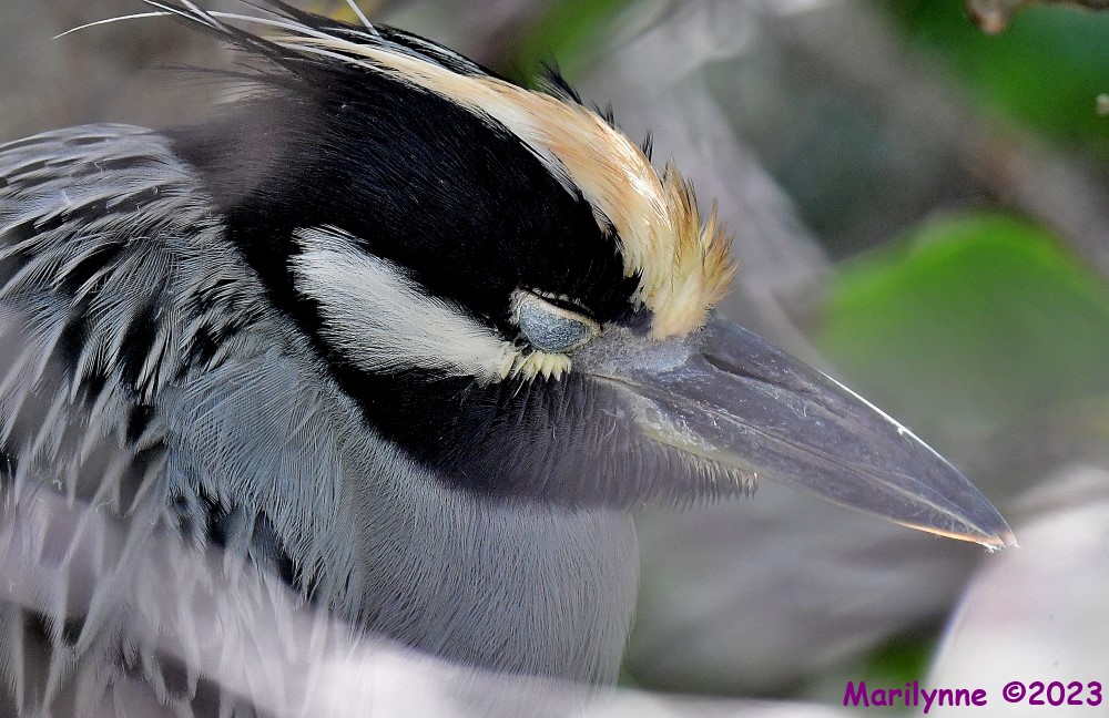 DSC_1414_001.JPG