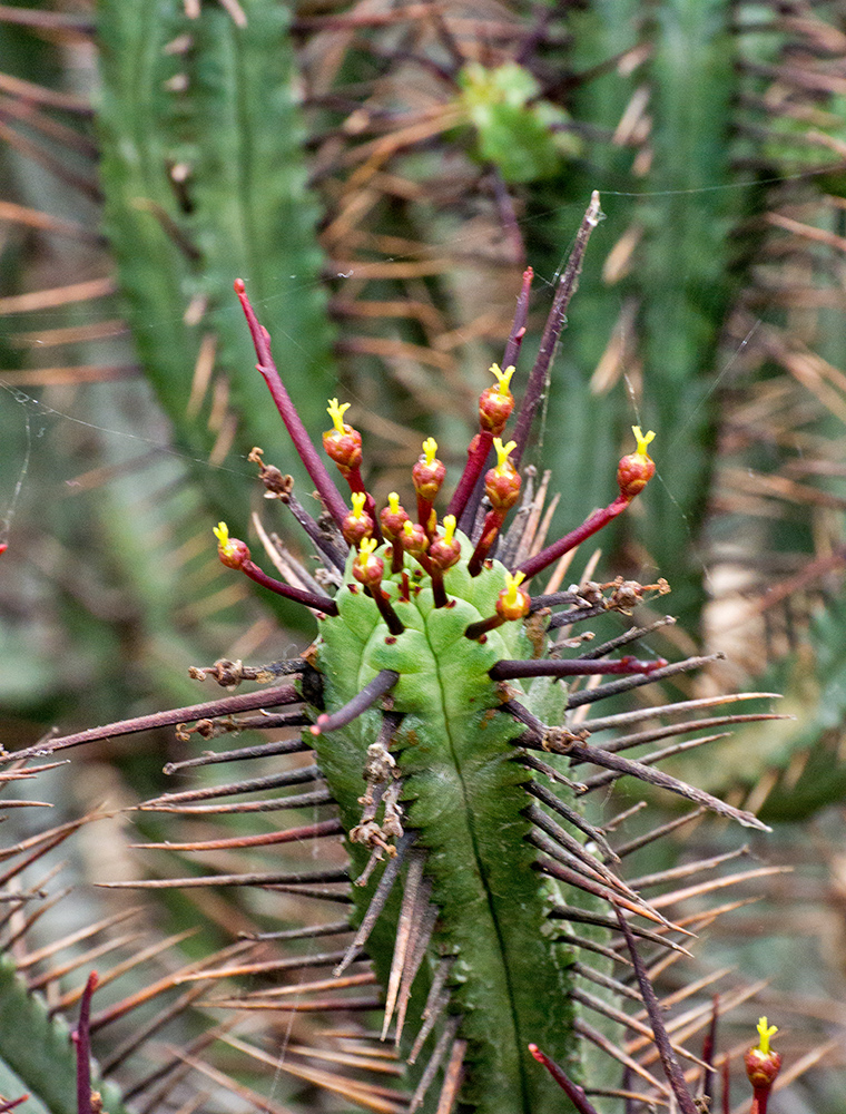 DSC_1416.jpg
