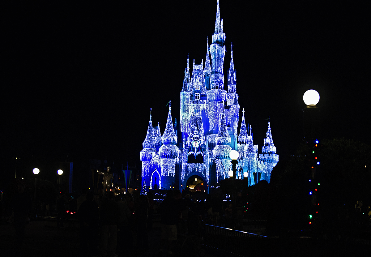 DSC_1418_2.jpg