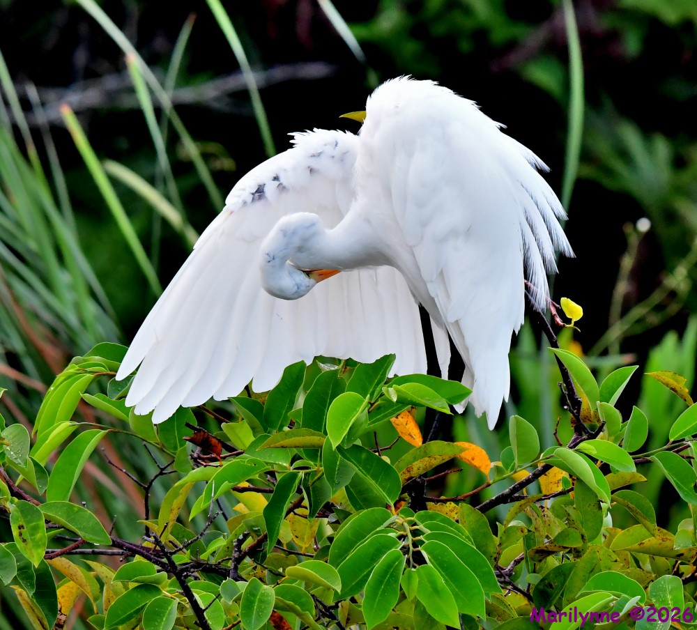 DSC_1419_001.JPG