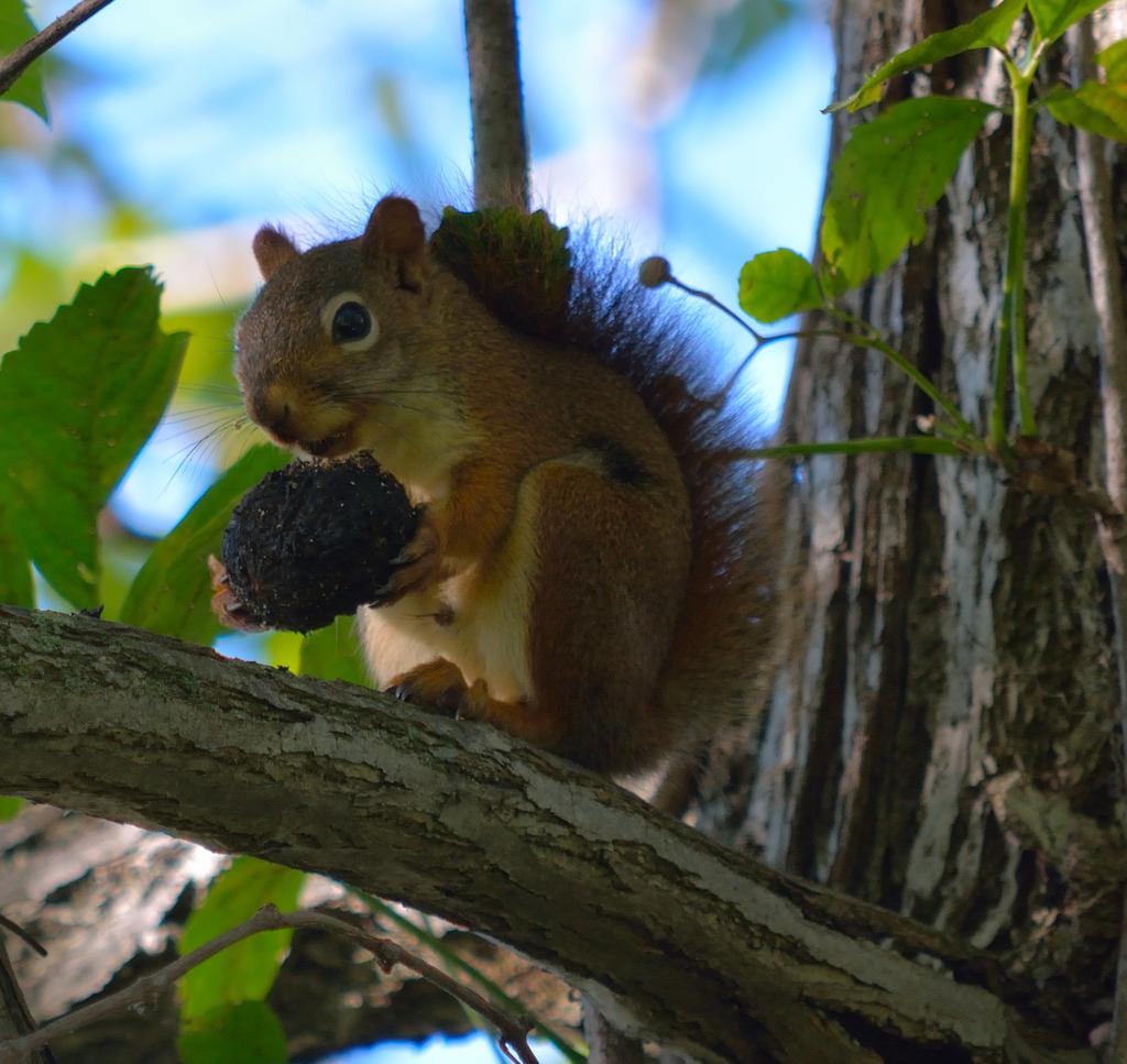 DSC_1420.jpg