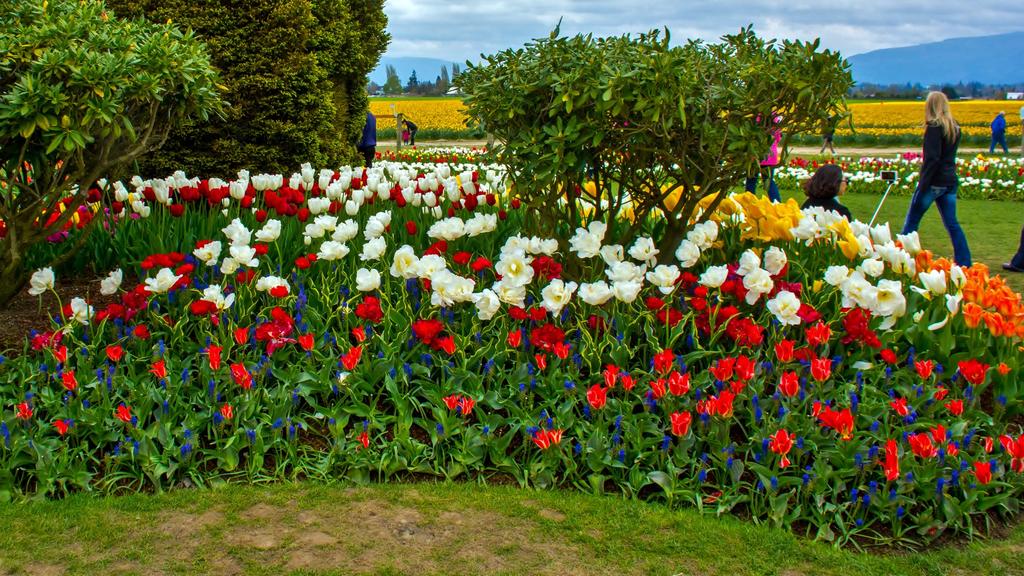 DSC_1421.jpg