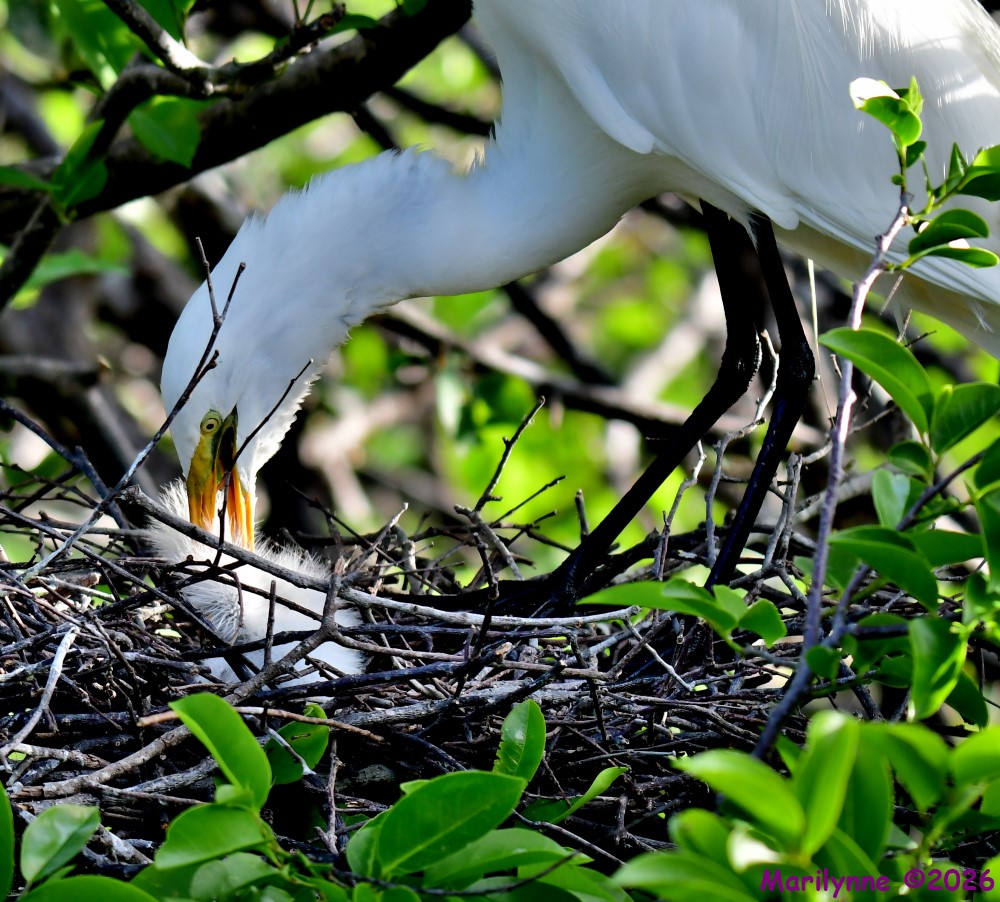 DSC_1423_001.JPG