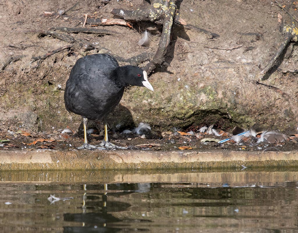 DSC_1425.jpg