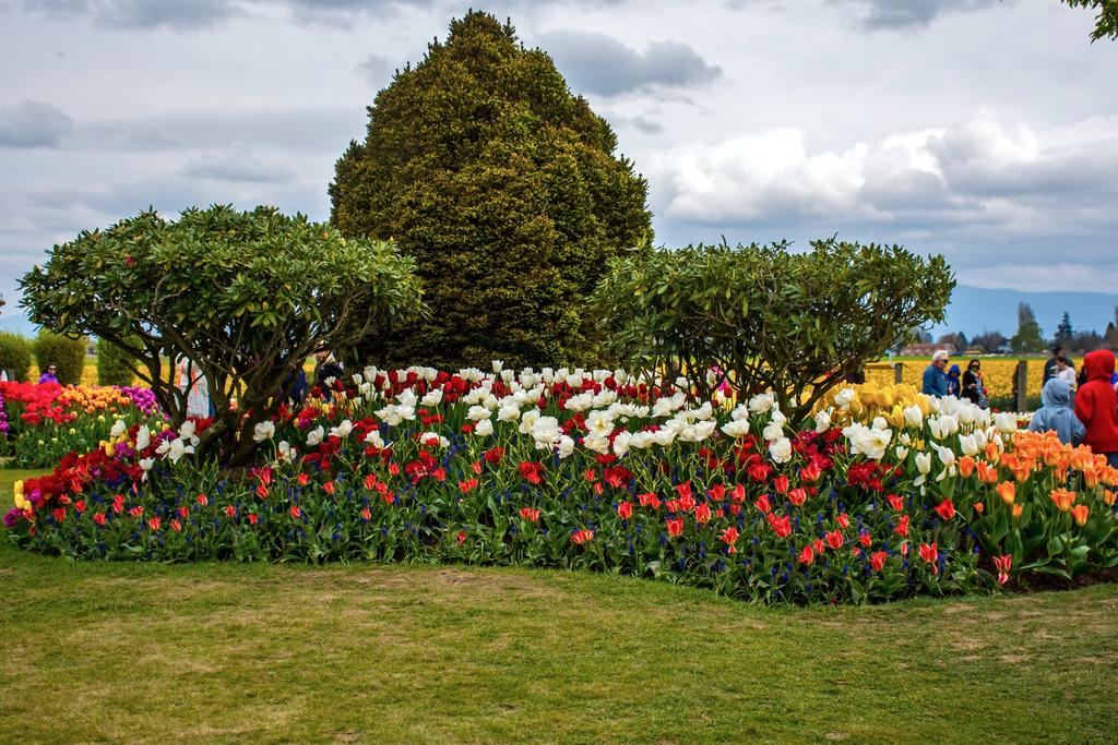 DSC_1428.jpg