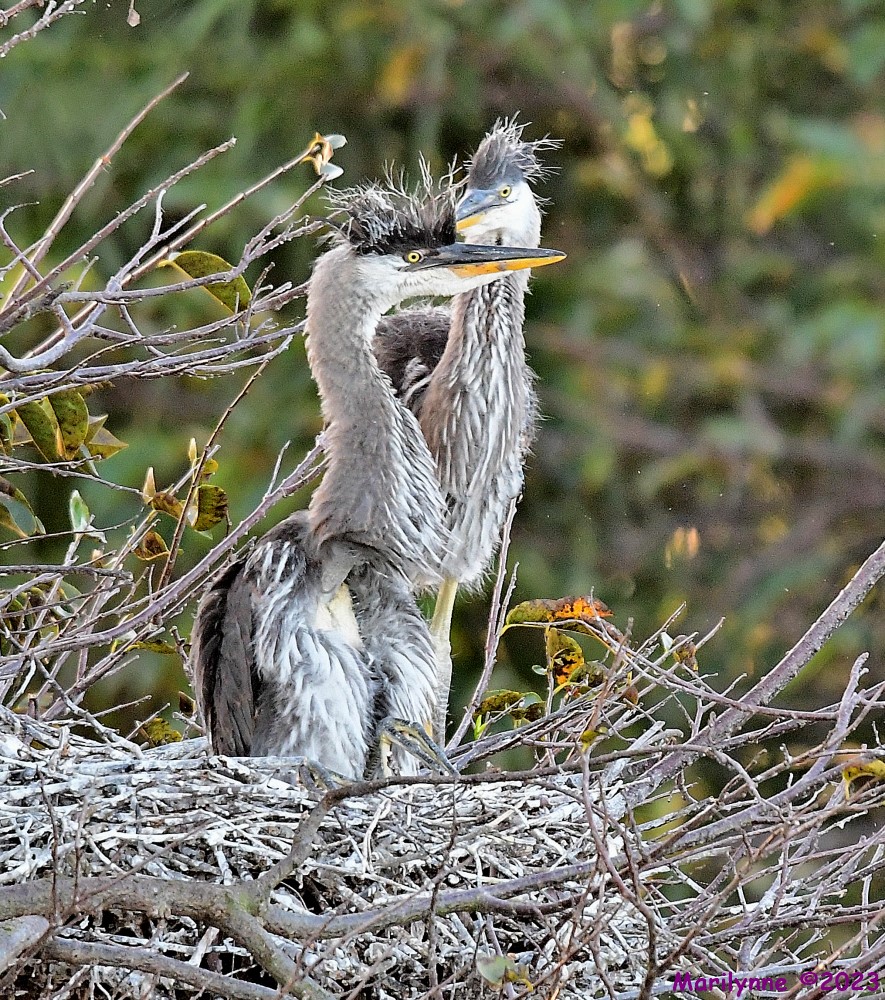 DSC_1430_001.JPG
