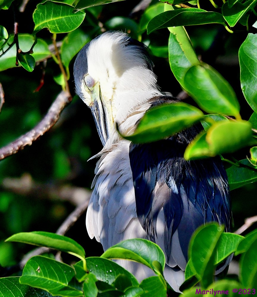 DSC_1432_001.JPG
