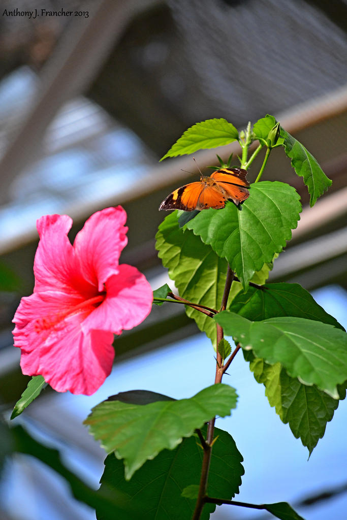 DSC_1434.jpg