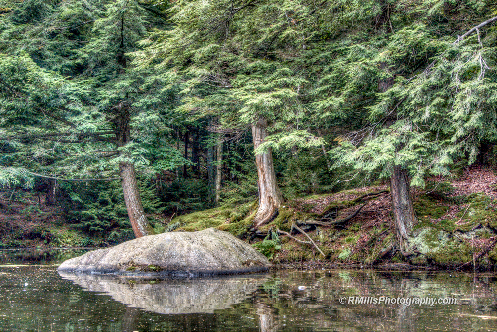 DSC_1435_11928_tonemapped-2.jpg