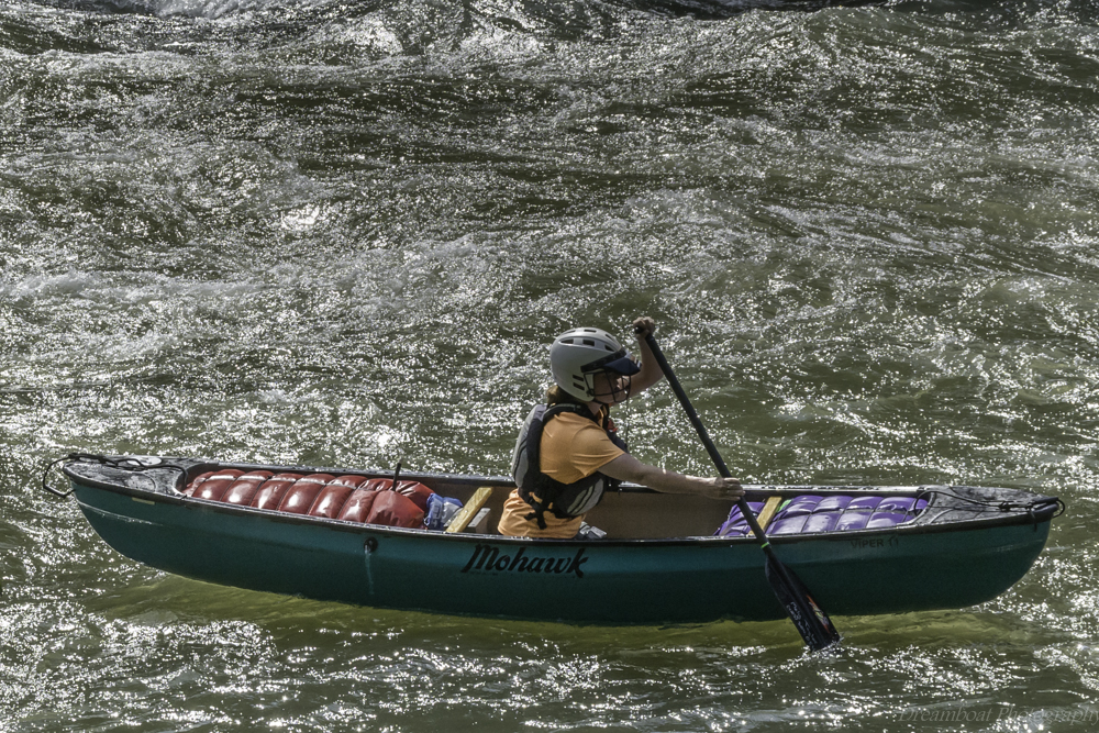 DSC_1436.jpg