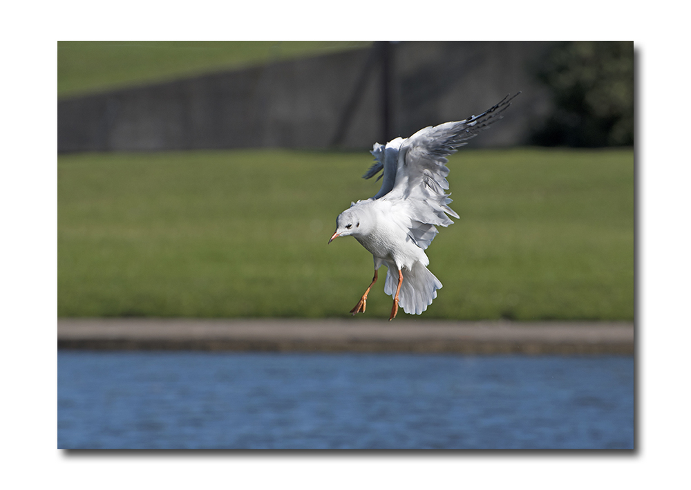 DSC_1436.jpg