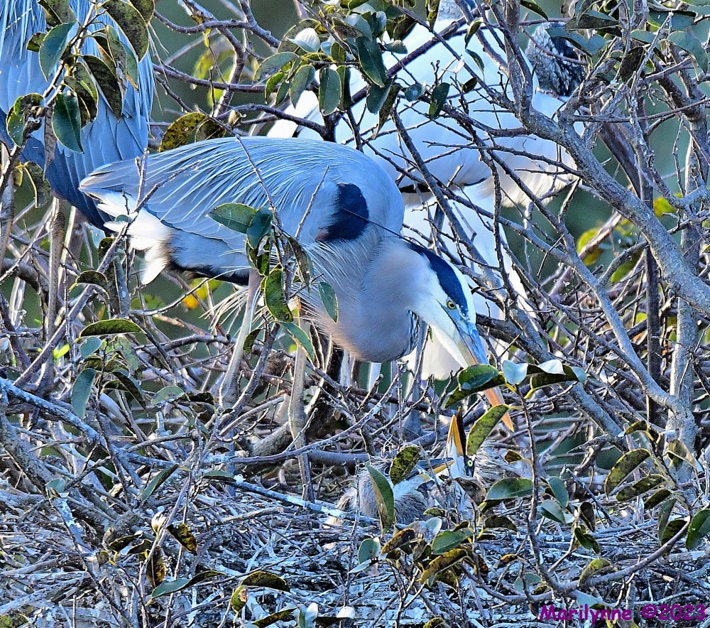 DSC_1436_001.JPG
