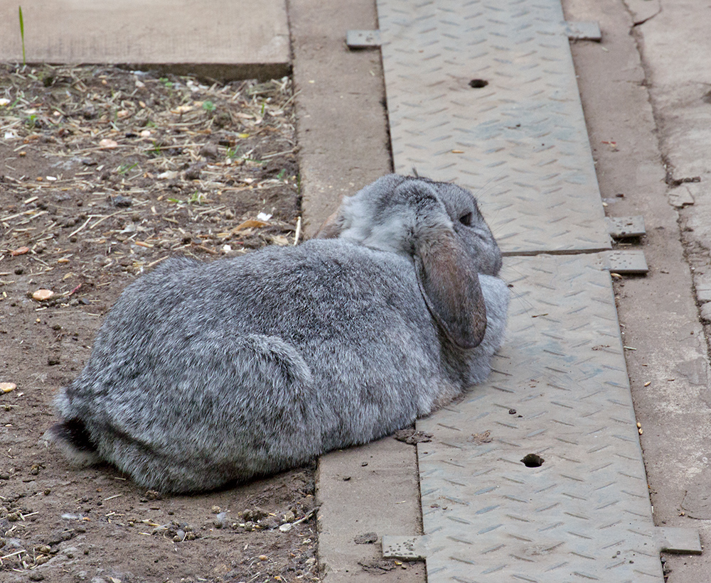 DSC_1438.jpg