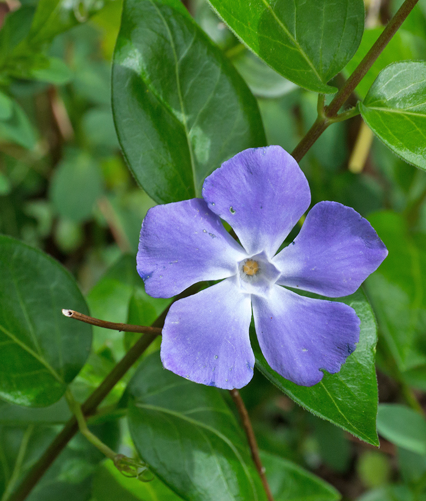 DSC_1439.jpg