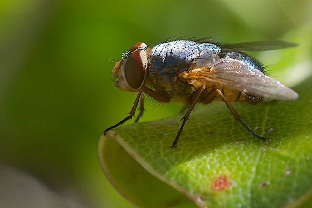 DSC_1442.jpg