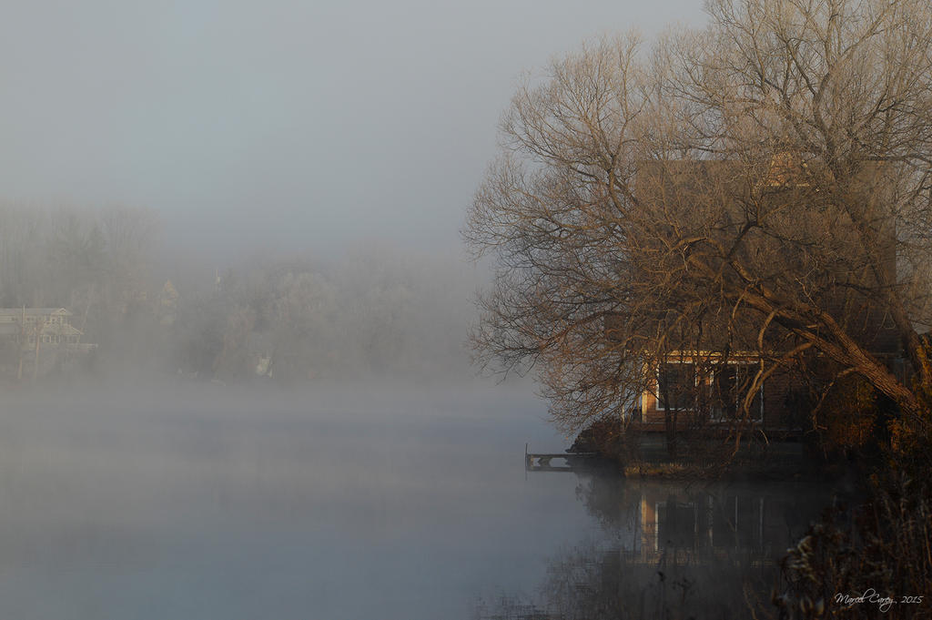 DSC_1446.jpg
