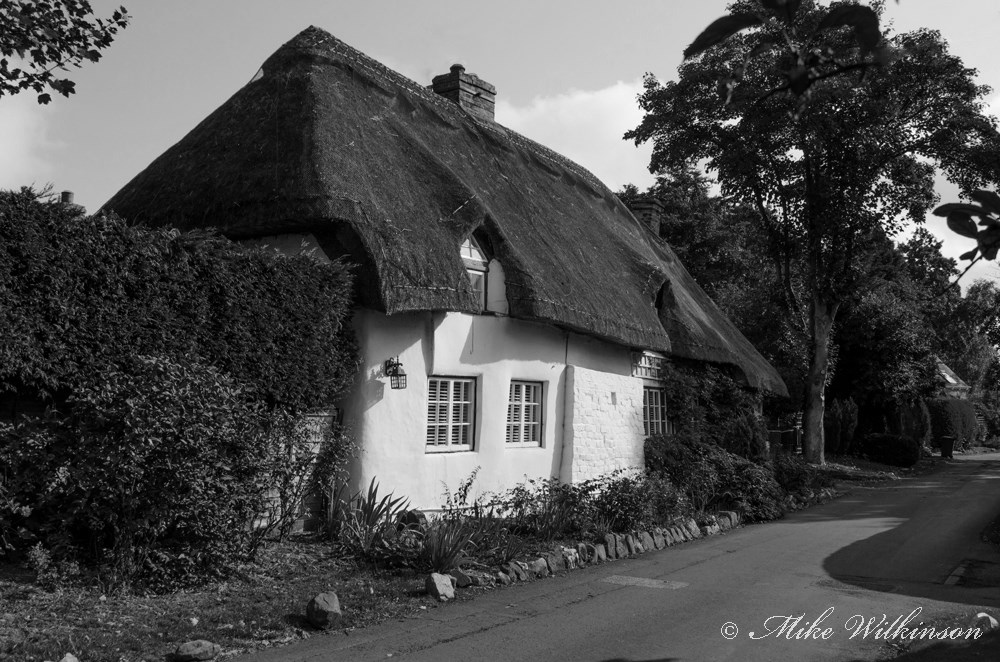 DSC_1446.jpg