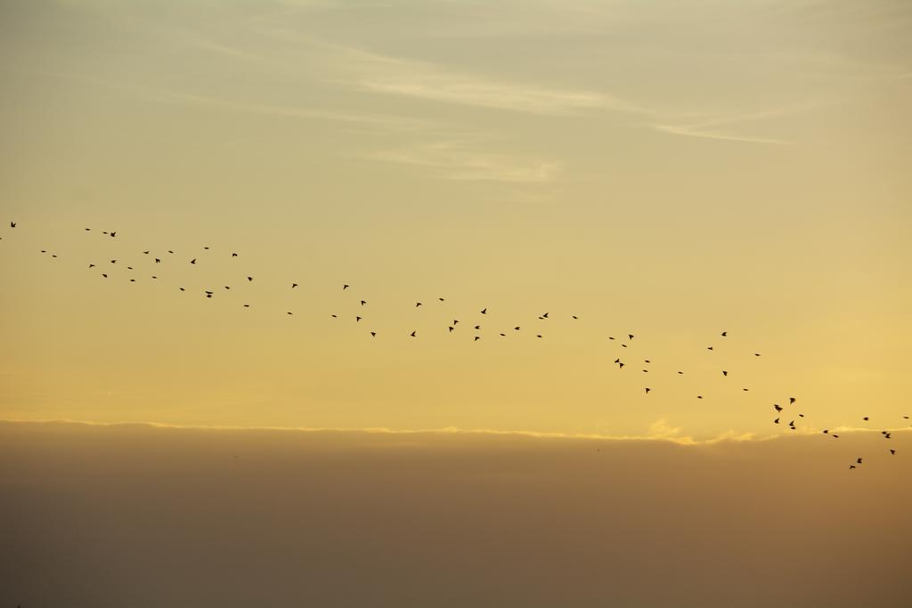 DSC_1446.jpg
