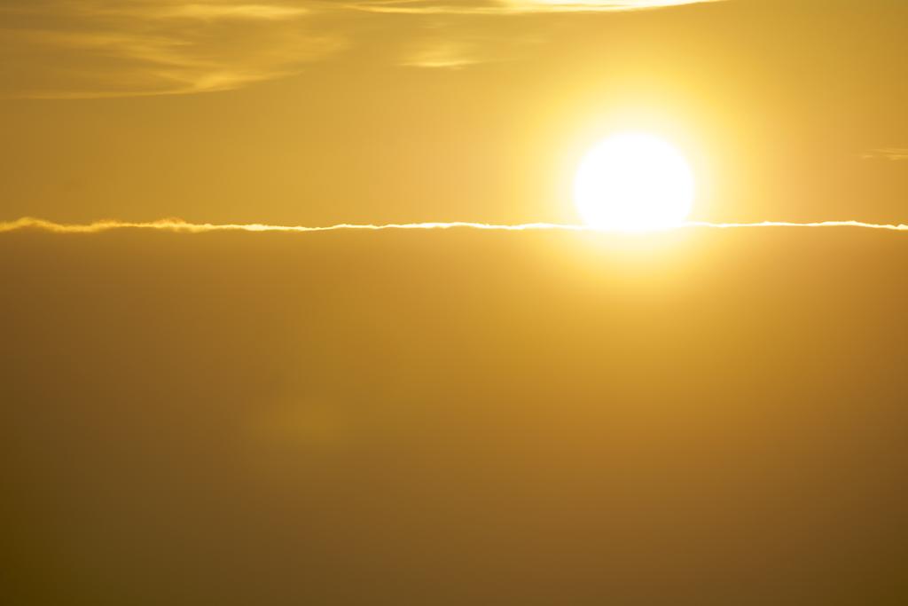 DSC_1448.jpg