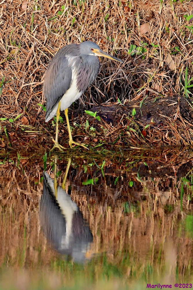 DSC_1452_001.JPG