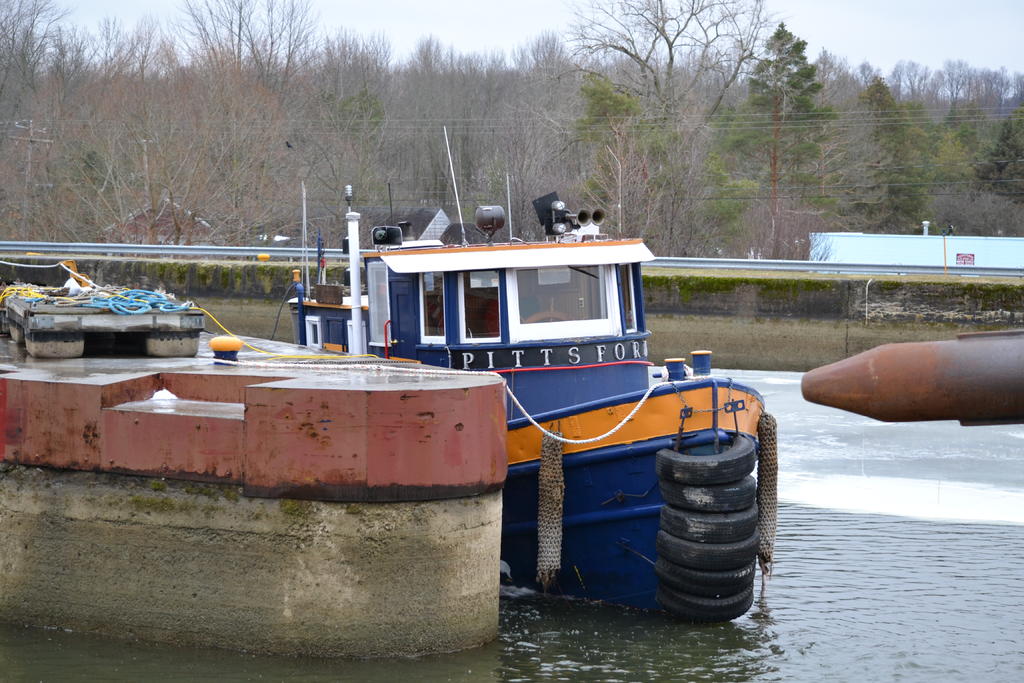 DSC_1454.jpg