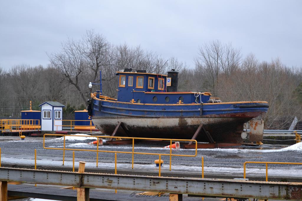 DSC_1456.jpg