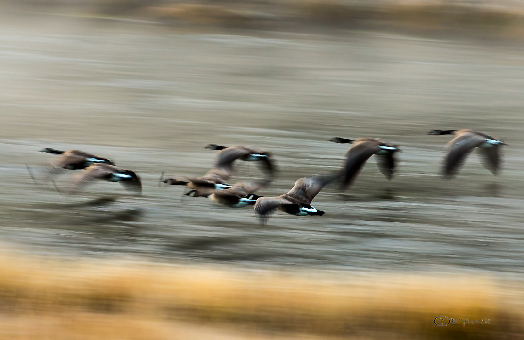 DSC_1465.jpg
