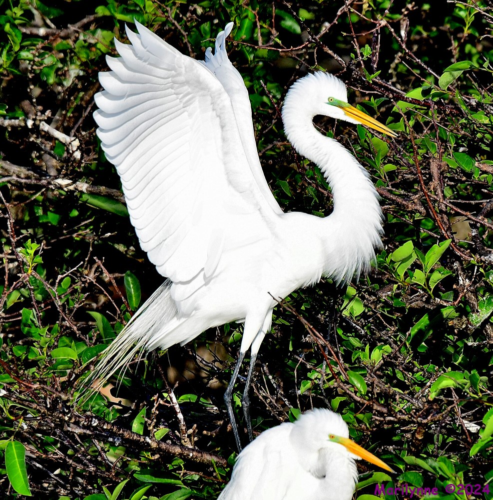 DSC_1470_001.JPG