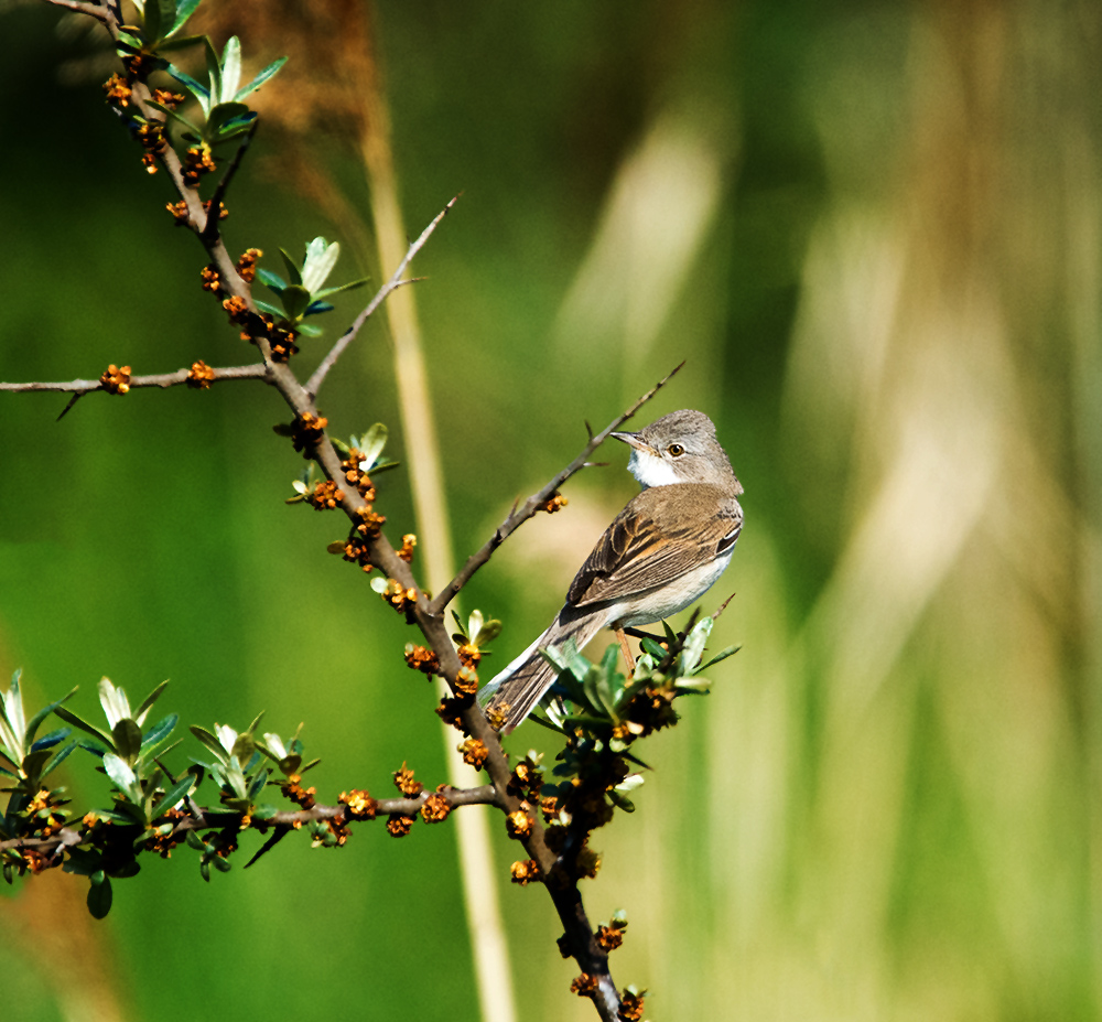 DSC_1473.jpg