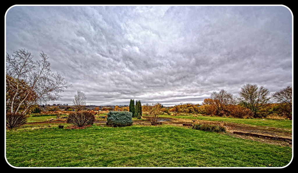 DSC_1474-Edit.jpg