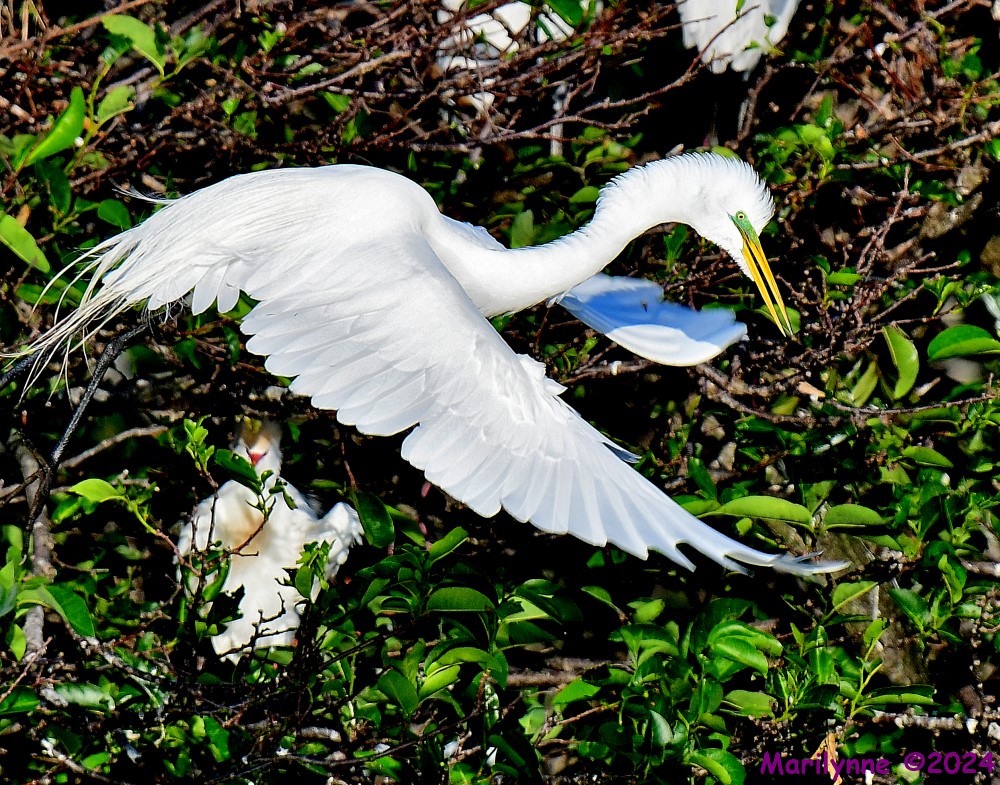 DSC_1475_001.JPG