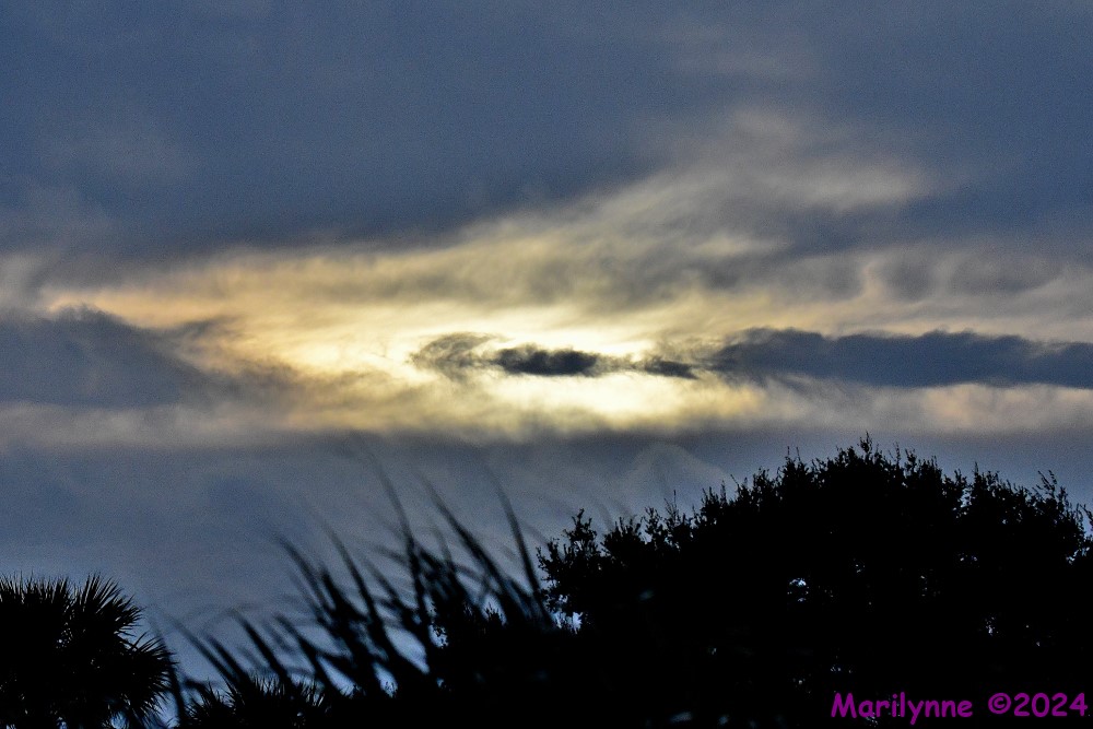 DSC_1476_001.JPG