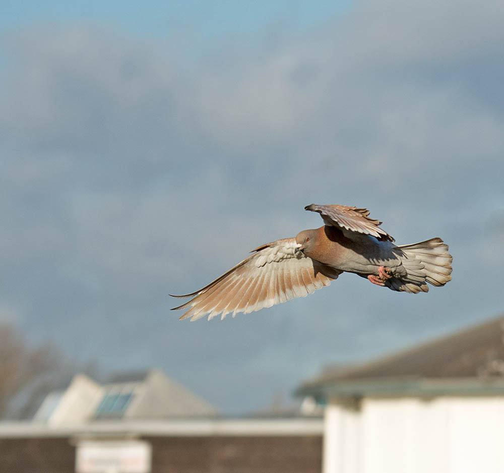 DSC_1479.jpg