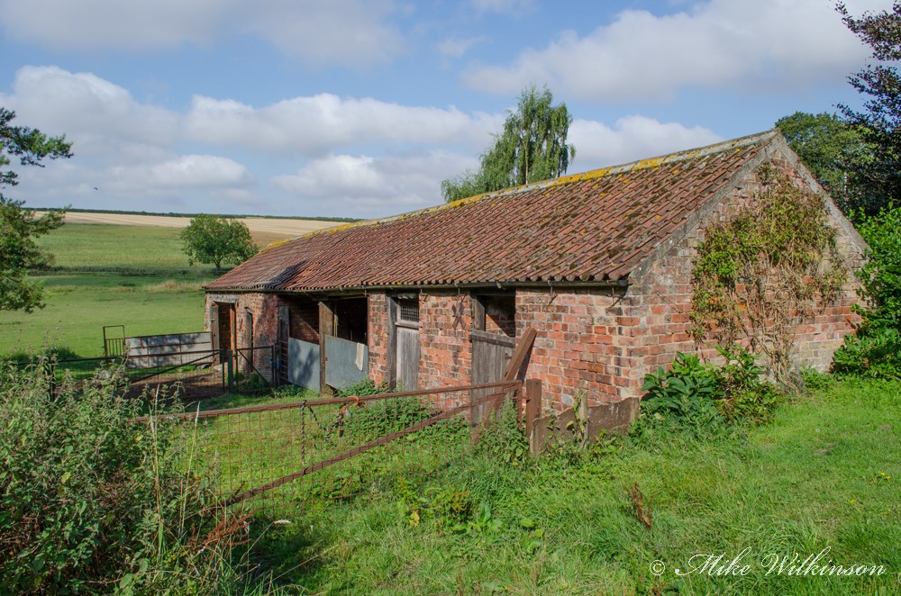 DSC_1486.jpg