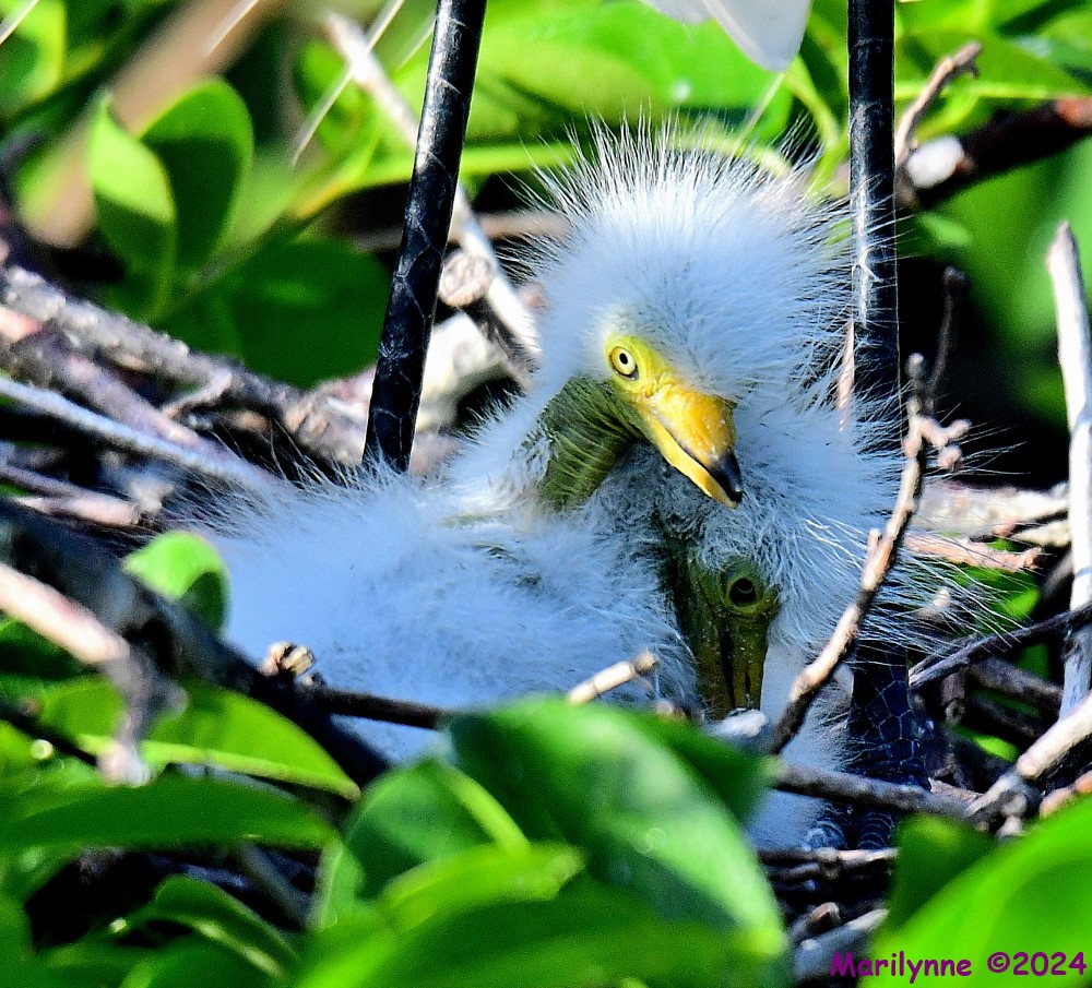 DSC_1489_001.JPG